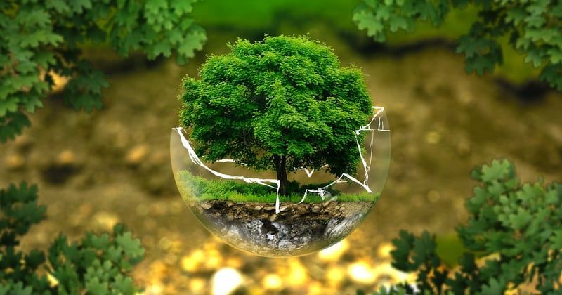 Enduit écologique pour façade ancienne : comment bien le choisir