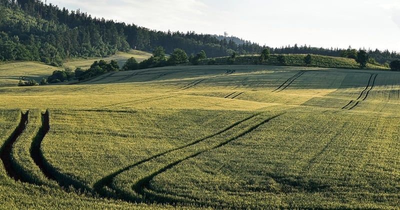 Restaurer le bâti ancien : lire les traces avant de choisir les gestes